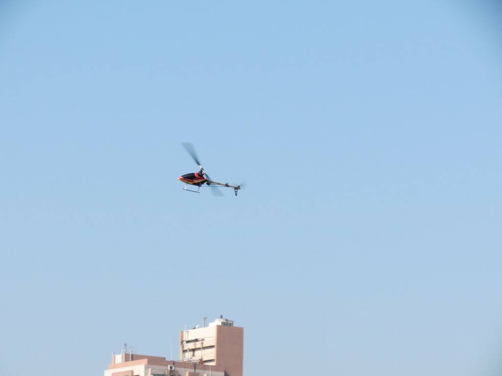 IMG_7114.JPG