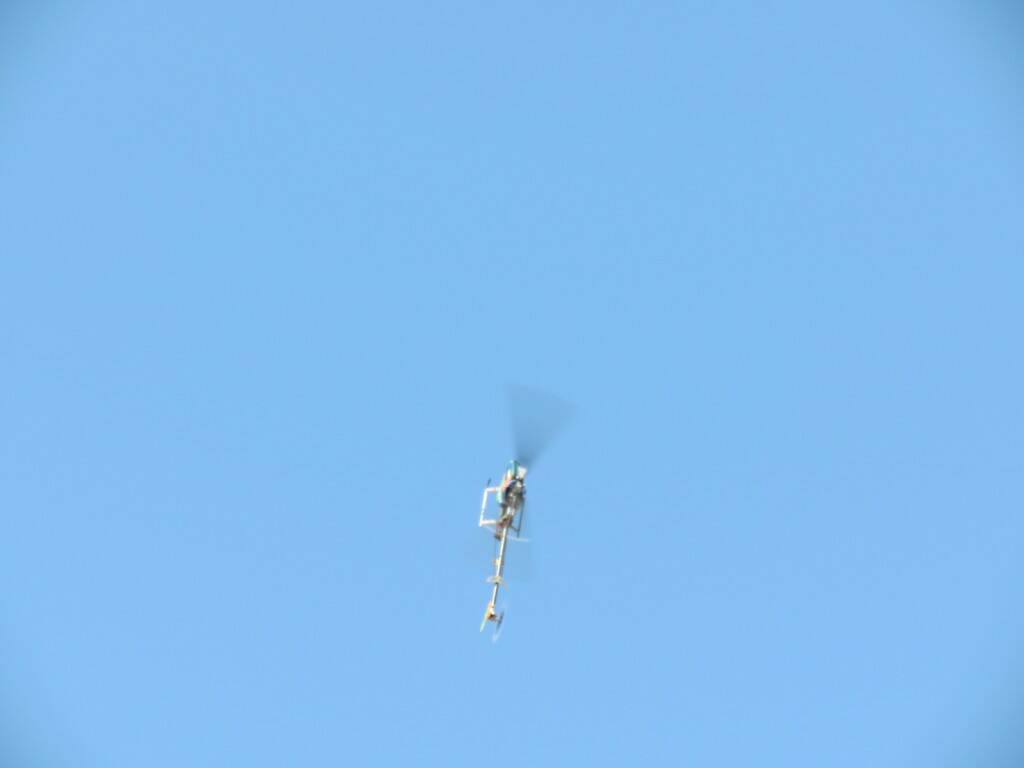 IMG_7132.JPG