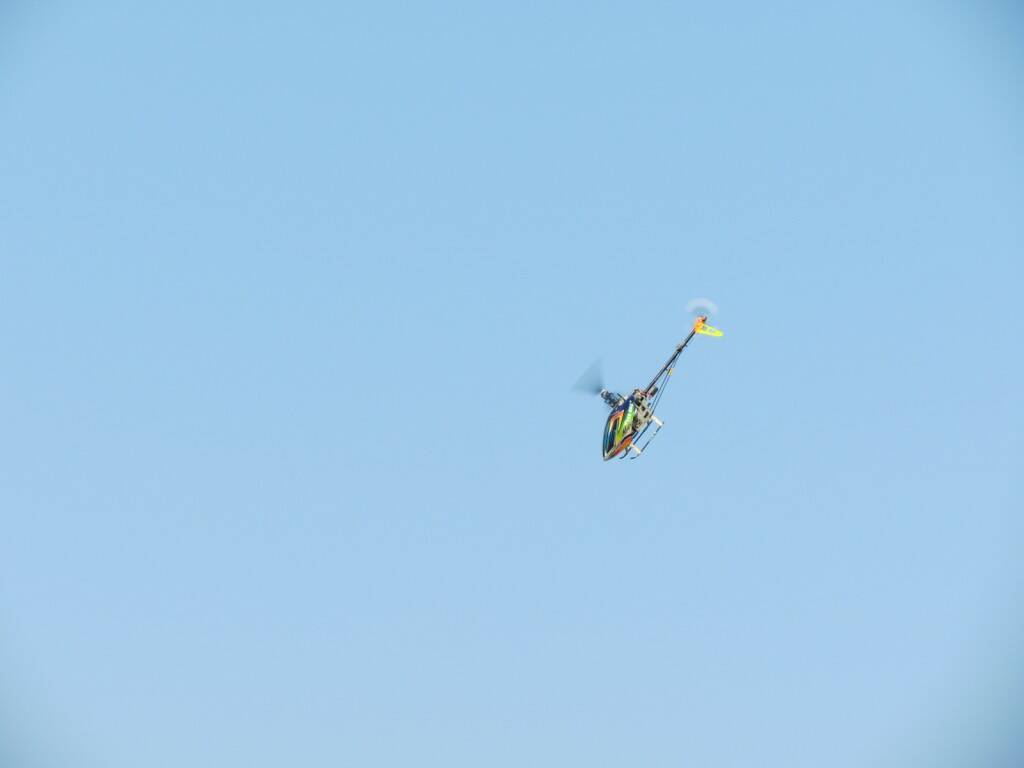 IMG_7164.JPG