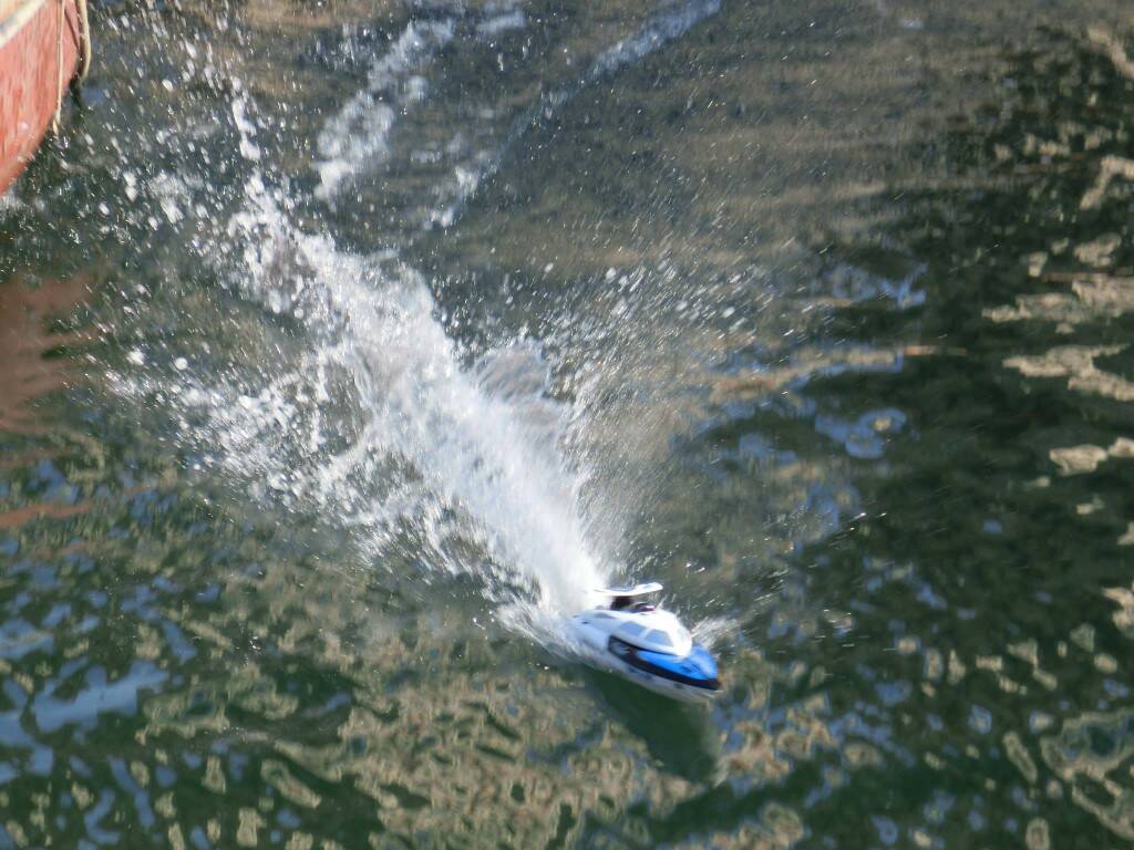 wl1.jpg