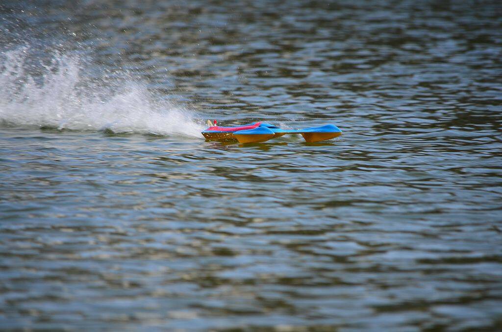 DSC_0557.jpg