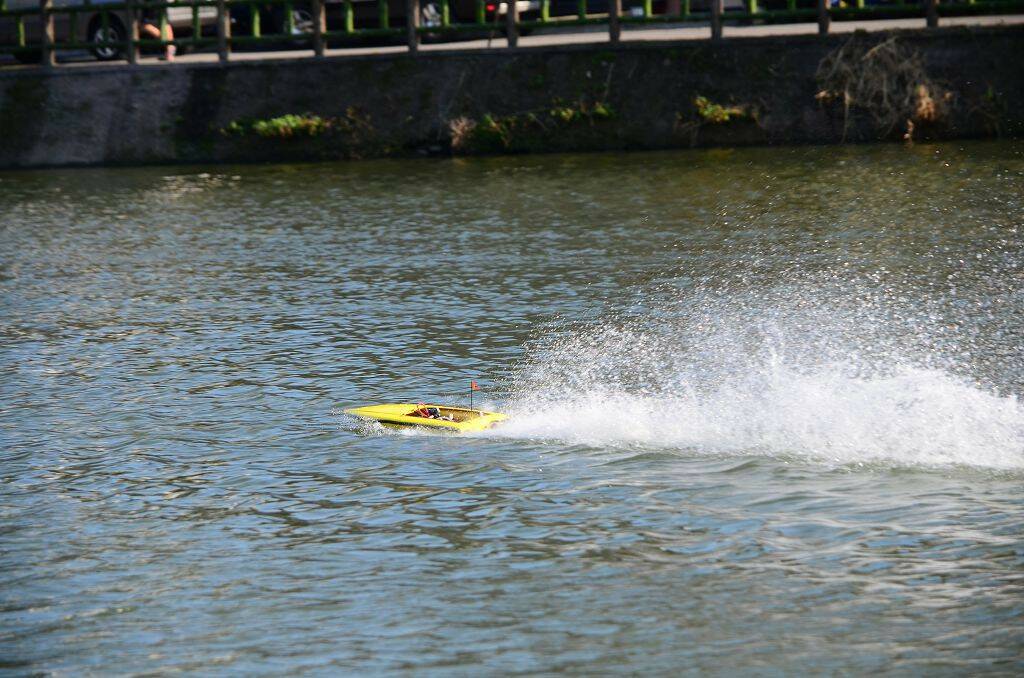 DSC_0684.jpg