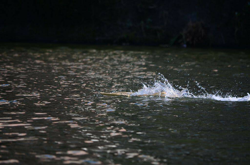 DSC_0691.jpg