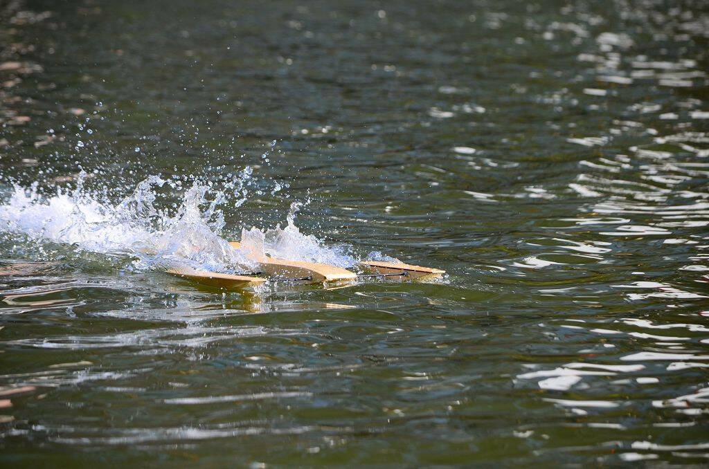 DSC_0694.jpg