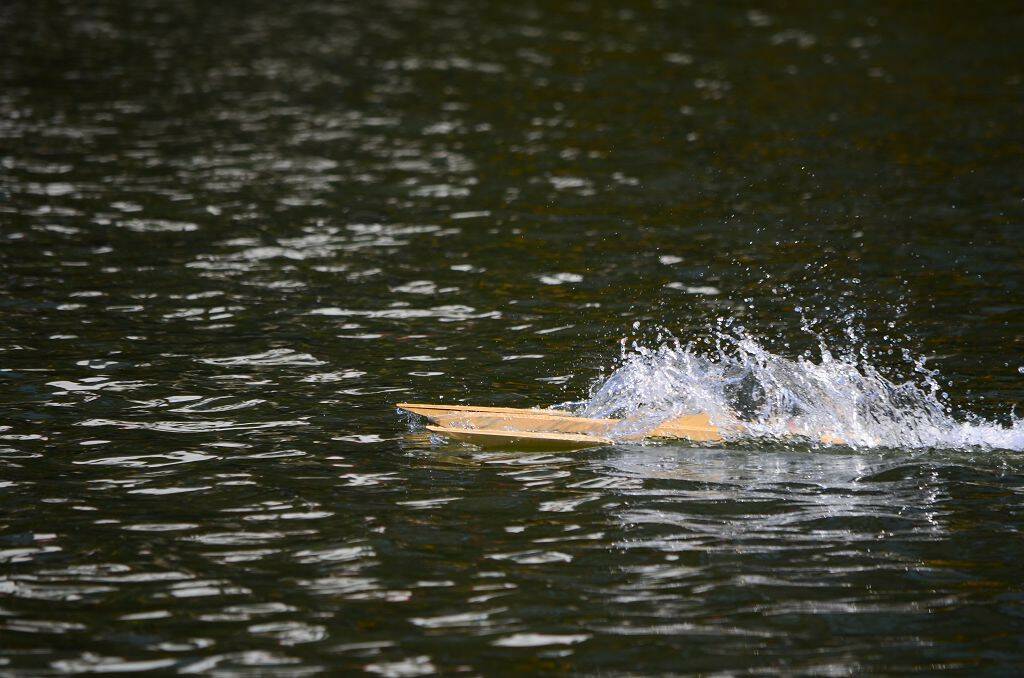 DSC_0695.jpg
