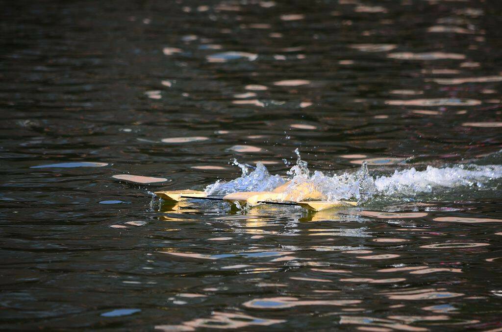 DSC_0697.jpg
