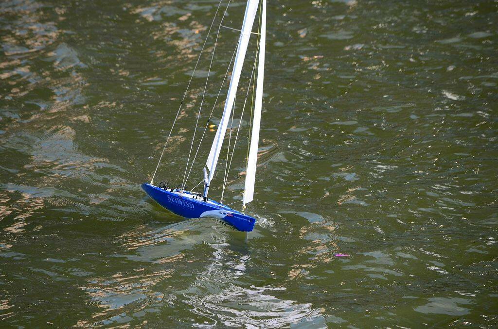 DSC_0705.jpg
