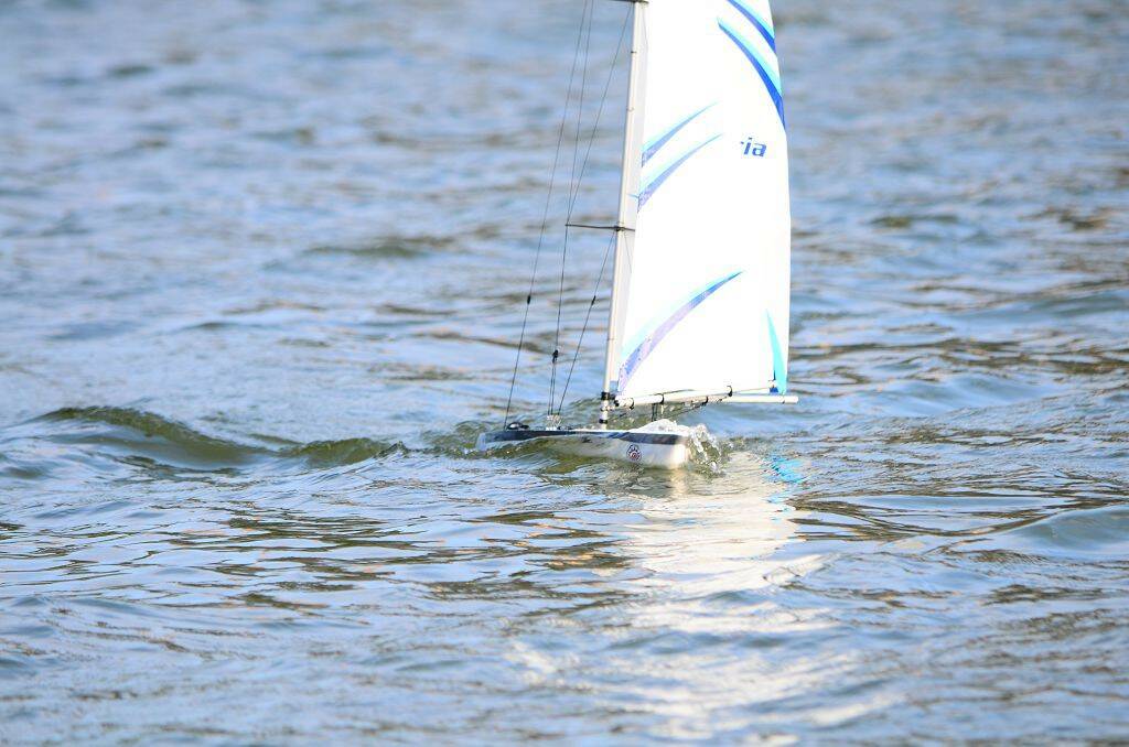 DSC_0731.jpg