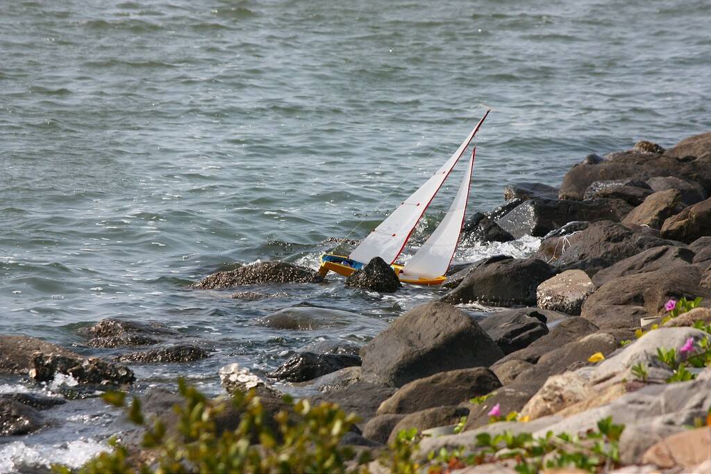 IMG_3602-1024.jpg