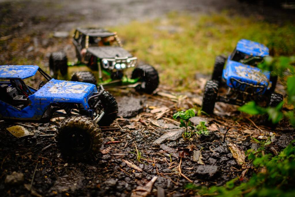 DSC_7575.jpg
