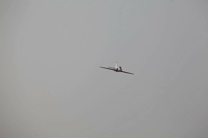 IMG_1451-800.jpg