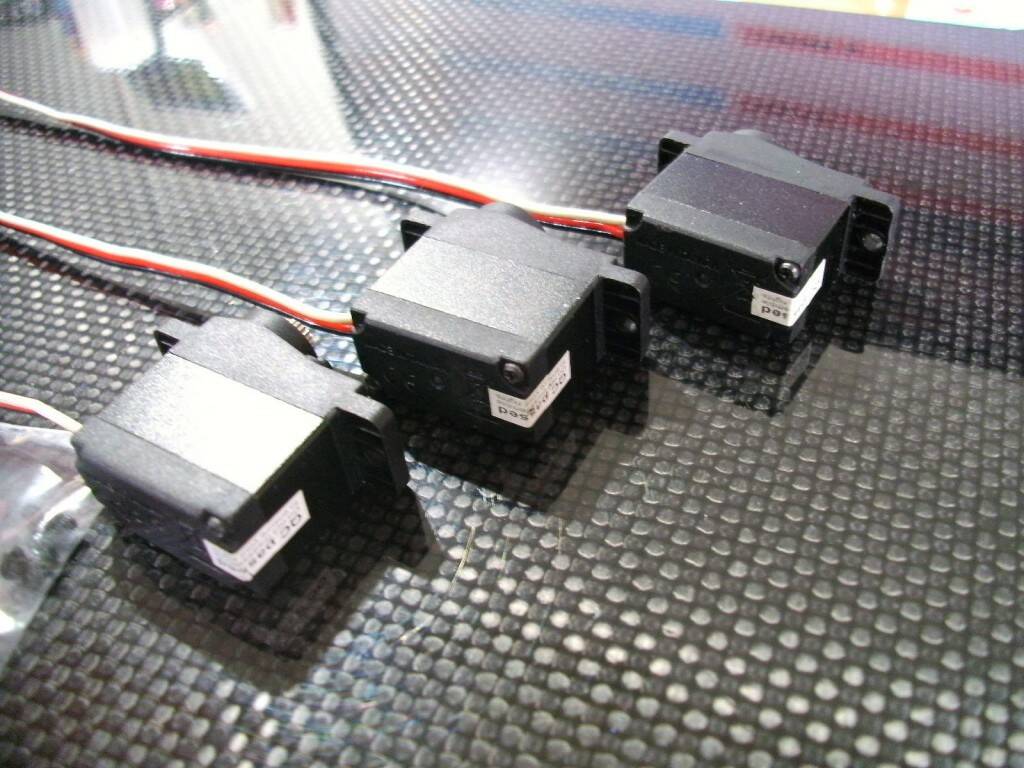 SANY7403.JPG