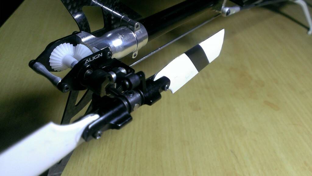 IMAG0554.jpg