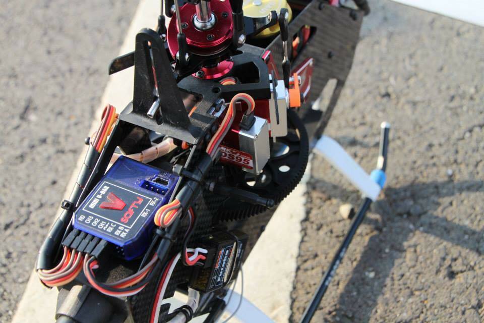 1618423_700806553273351_1219149486_n.jpg