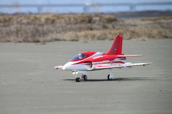 IMG_8951.JPG