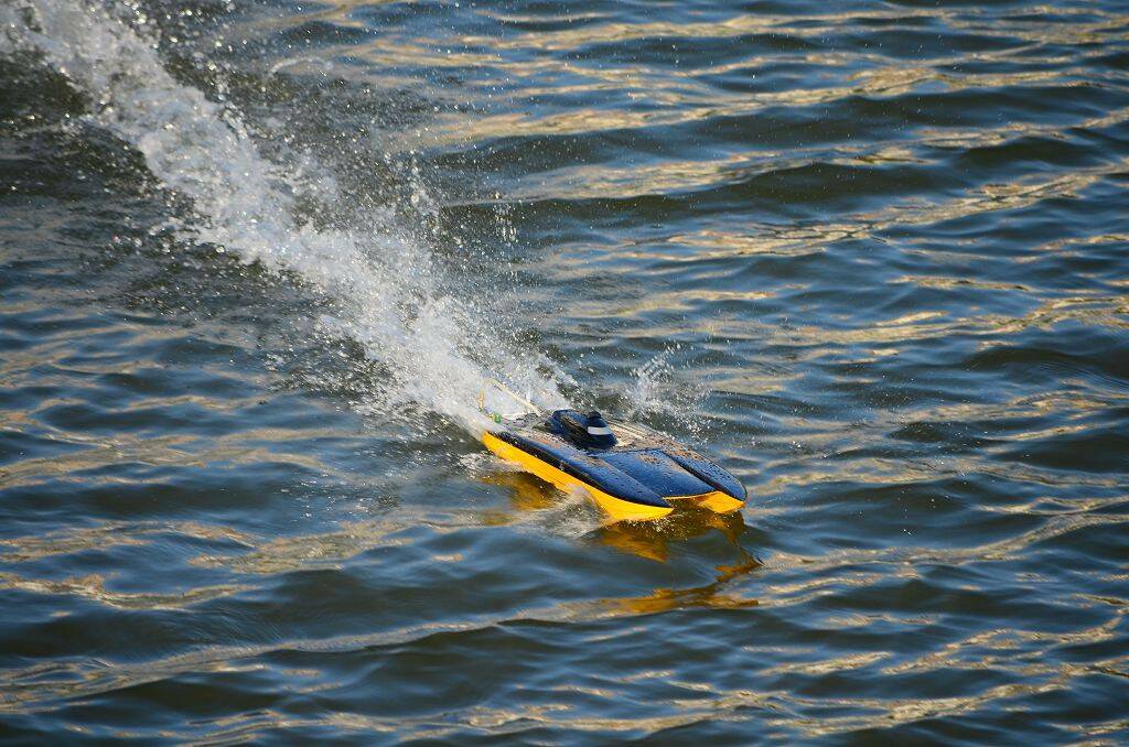 DSC_0619.jpg