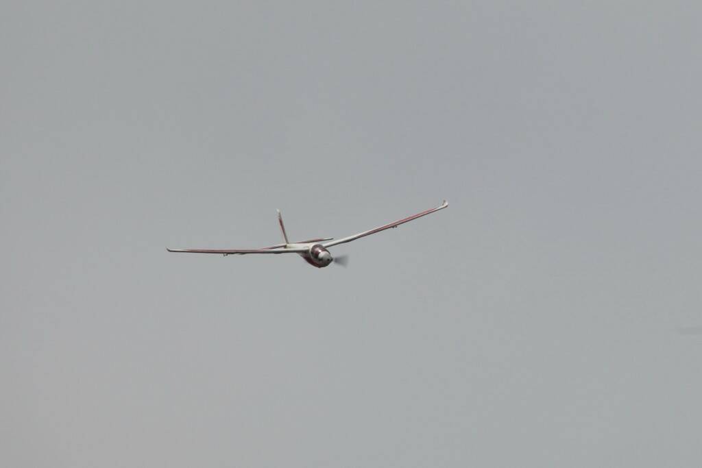 IMG_3530.jpg