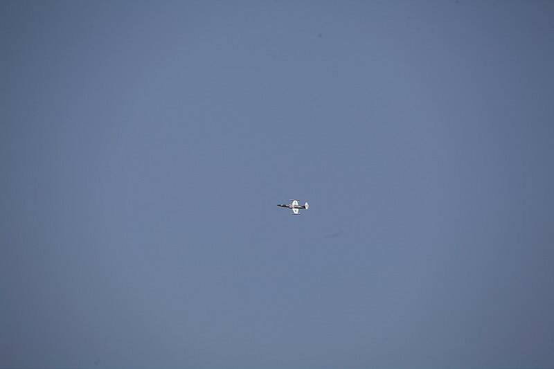 IMG_3775-800.jpg