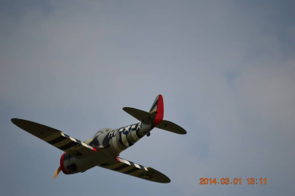 DSC_0040.JPG
