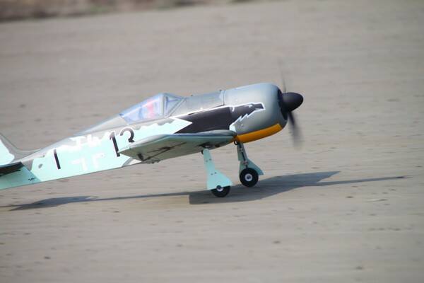 IMG_9029.JPG