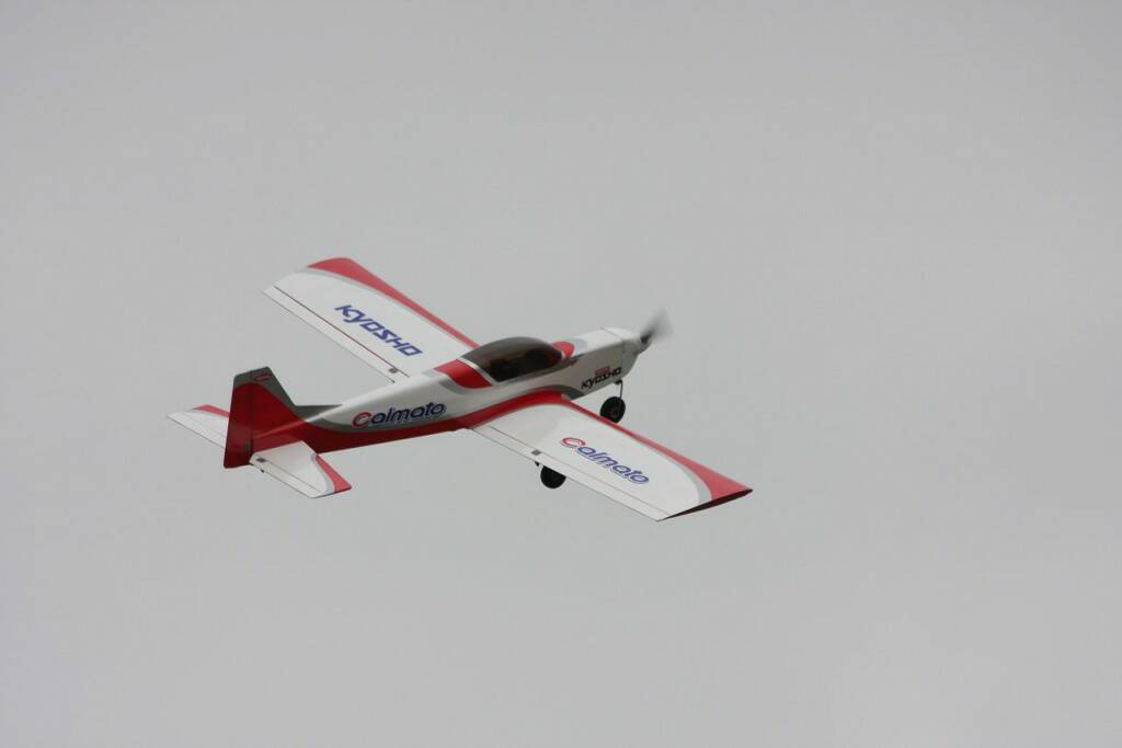 IMG_8565.jpg