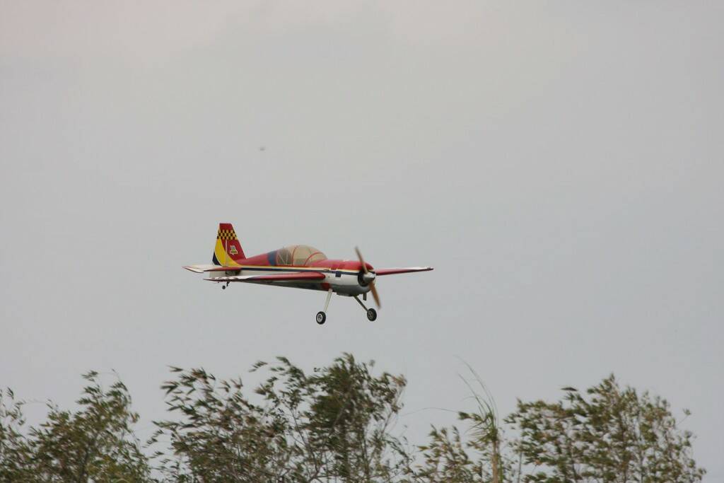 IMG_8631.jpg