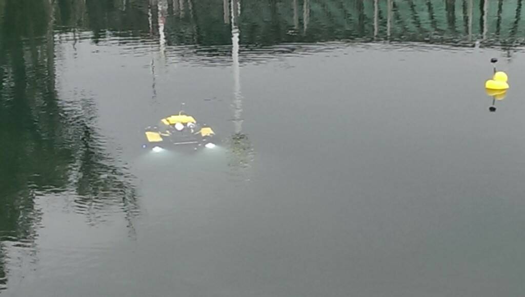 IMAG0084.jpg