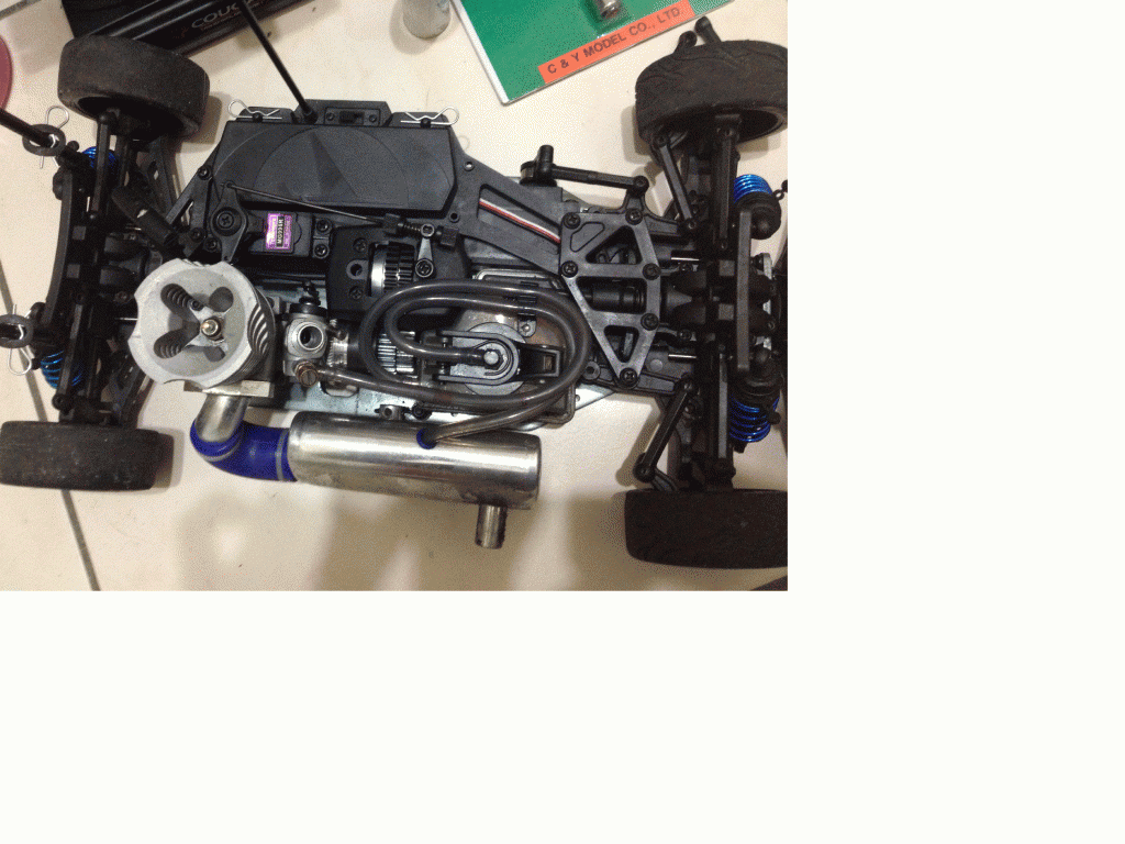 IMG_2325.gif