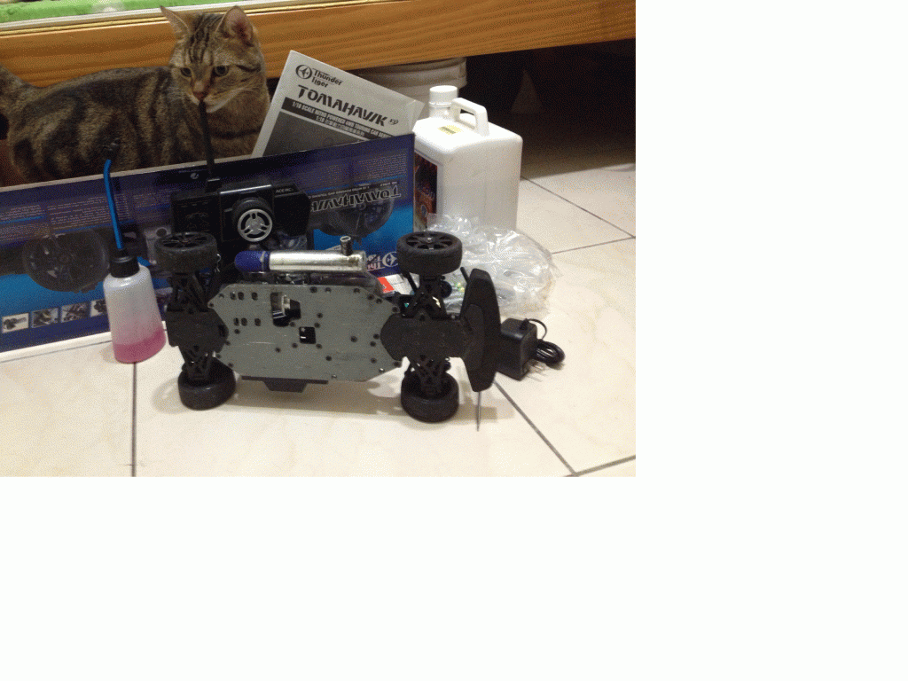 IMG_2326.gif