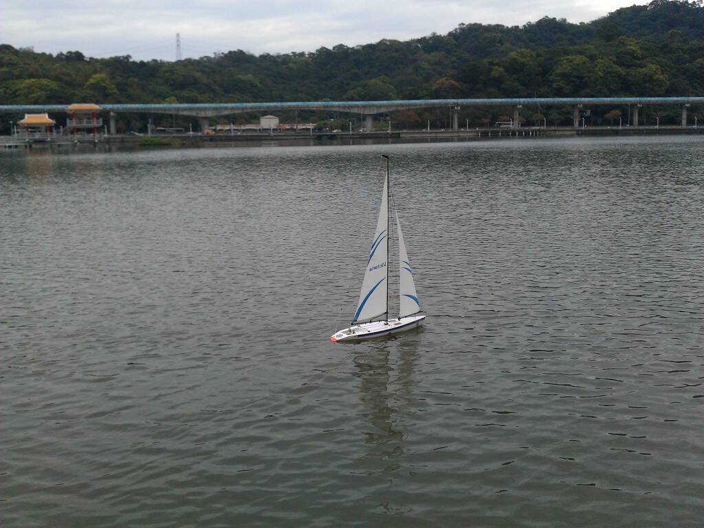 IMAG1774.jpg