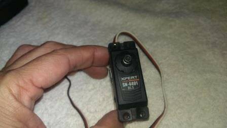 IMAG0666.jpg
