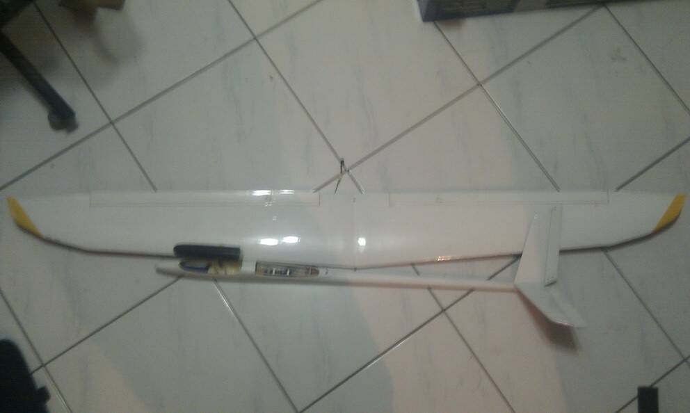 IMAG0313.jpg