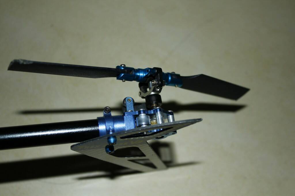 _MG_0024.JPG