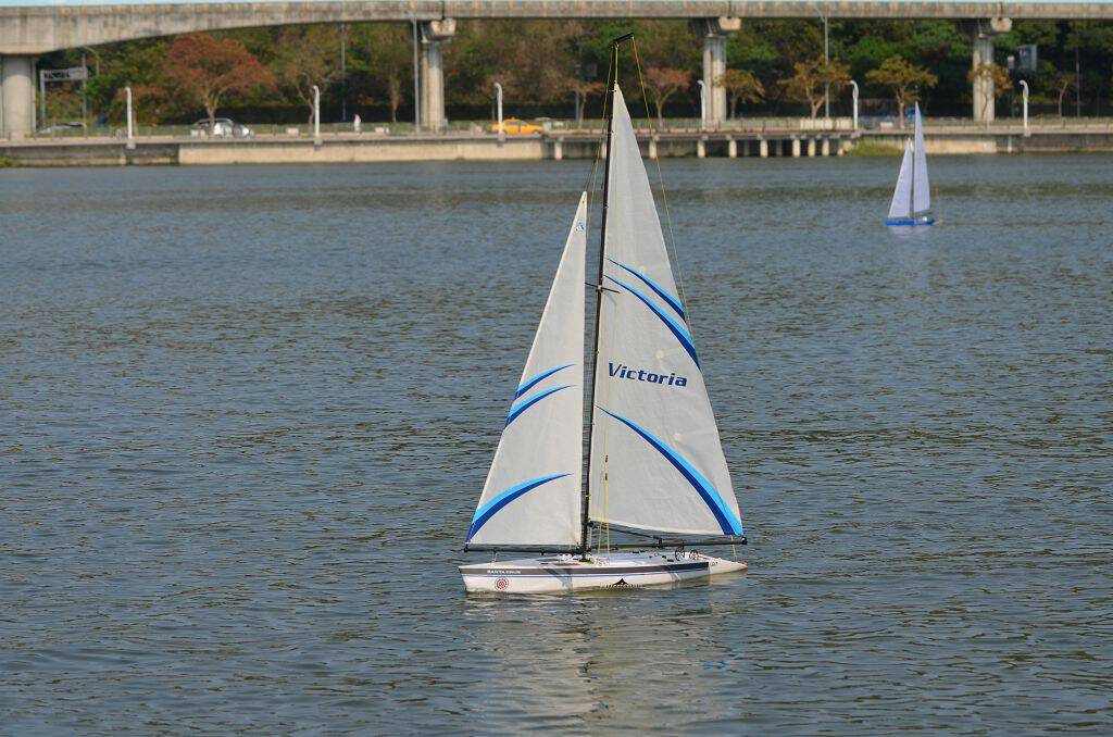 DSC_0556.jpg