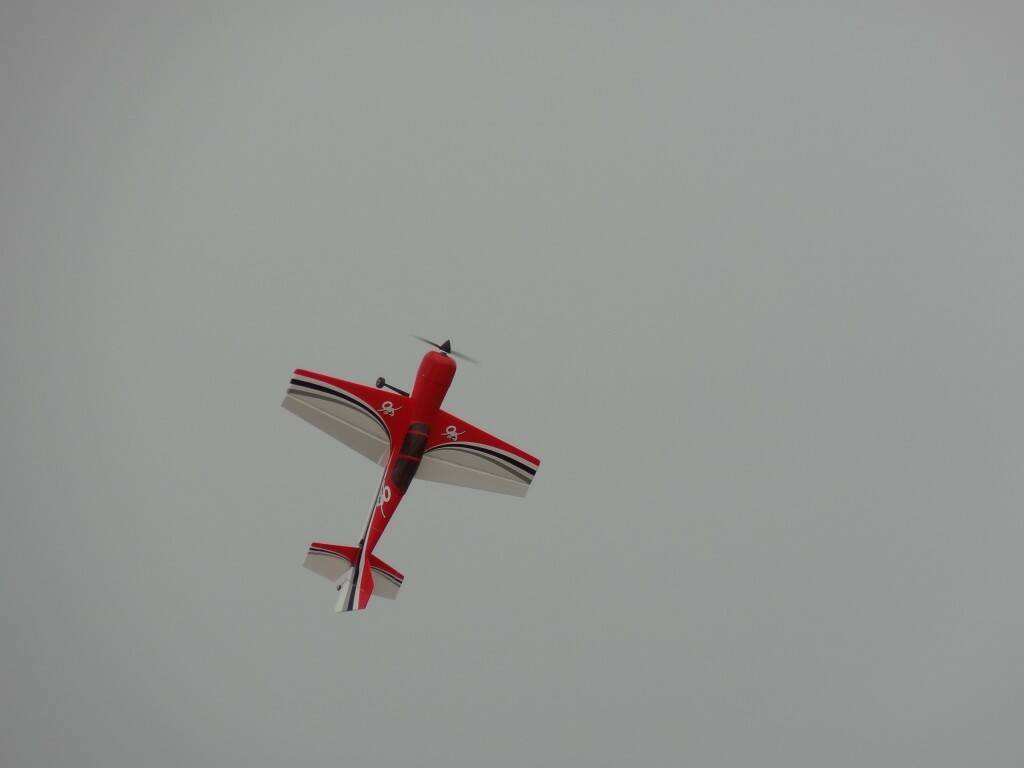 DSC02193.JPG