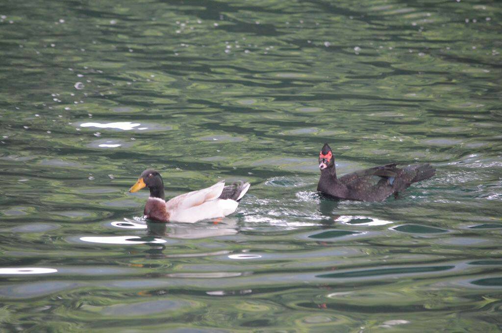 DSC_0669.jpg