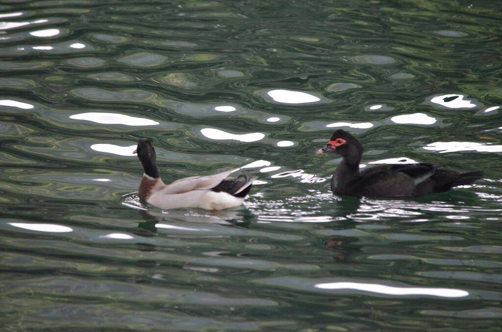 DSC_0670.jpg