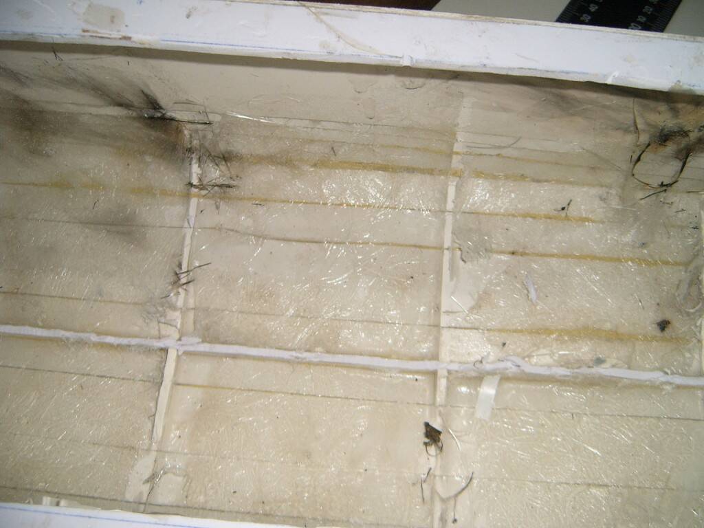 S3703200.JPG