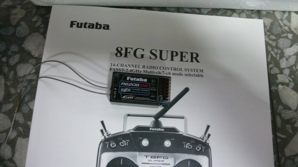 T8FGS 004.JPG