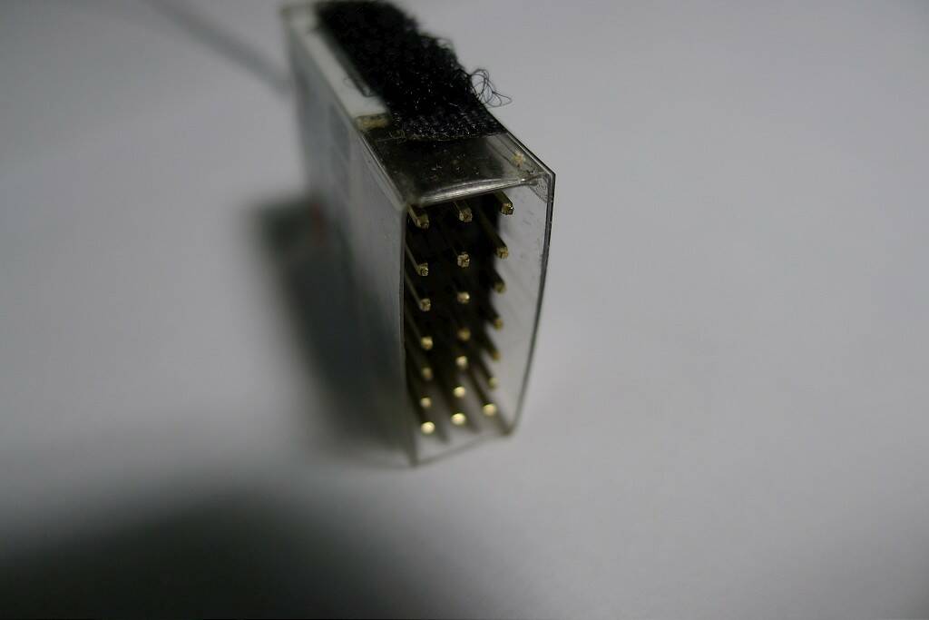 P1130145-1024.jpg