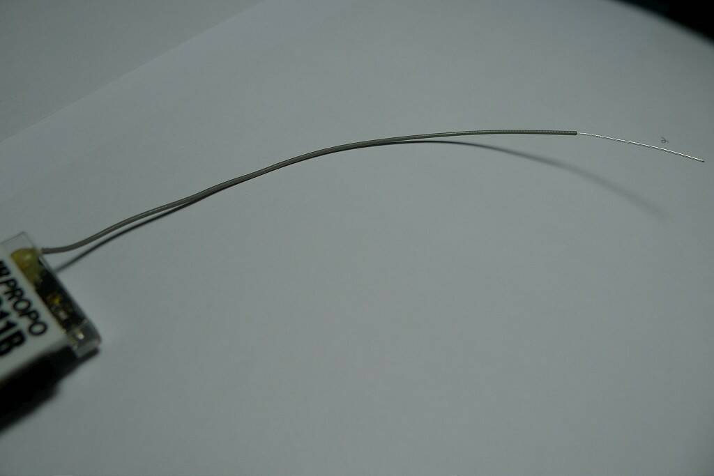P1130150-1024.jpg