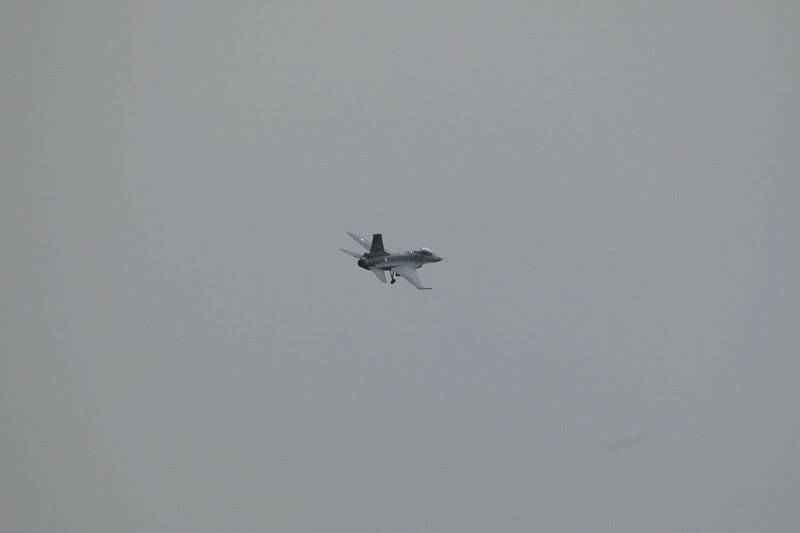 IMG_5011-800.jpg