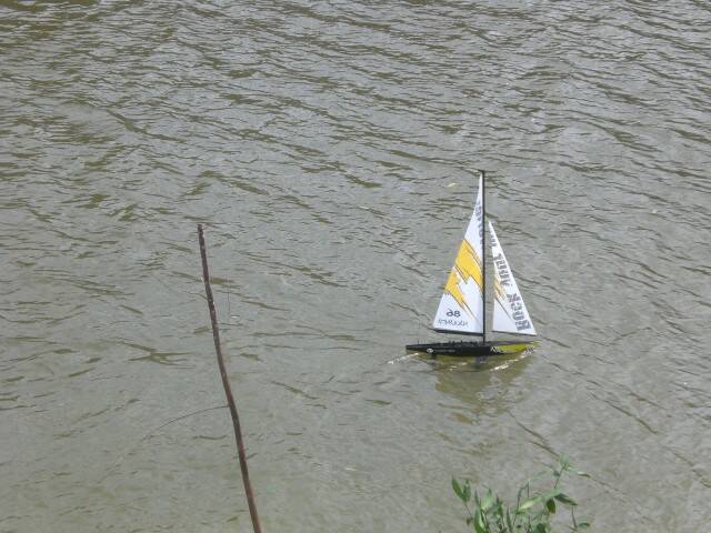 CIMG1517.JPG