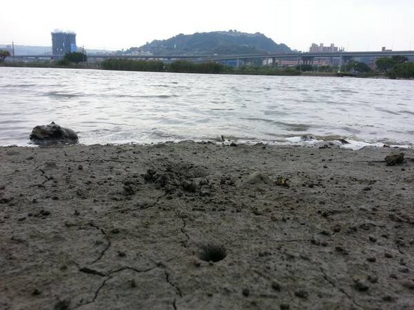 20140324_141304_調整大小.jpg