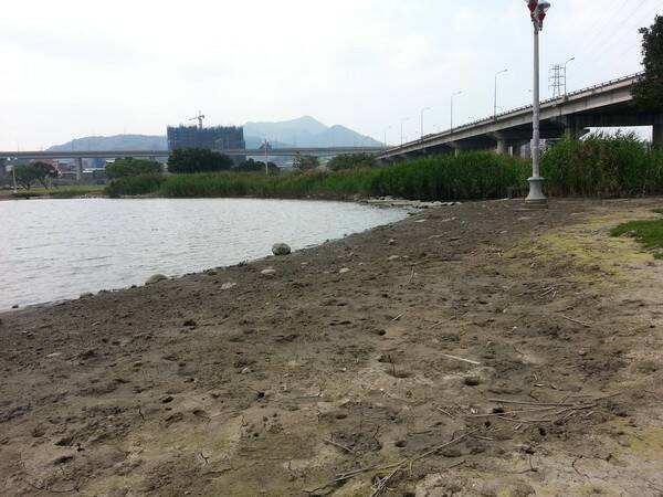 20140324_143627_調整大小.jpg
