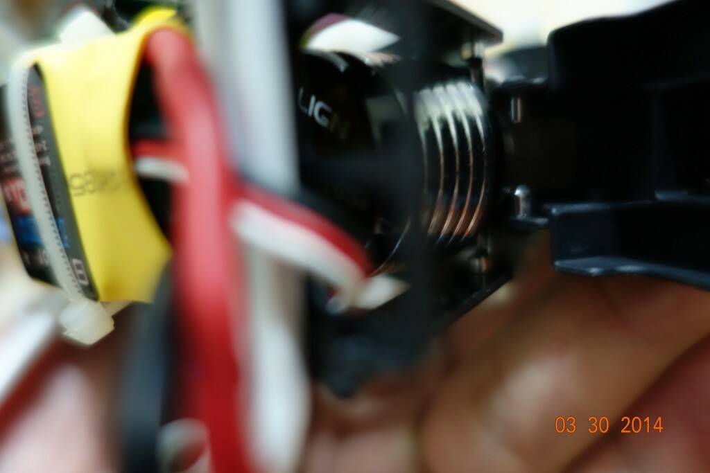 DSC00729.JPG
