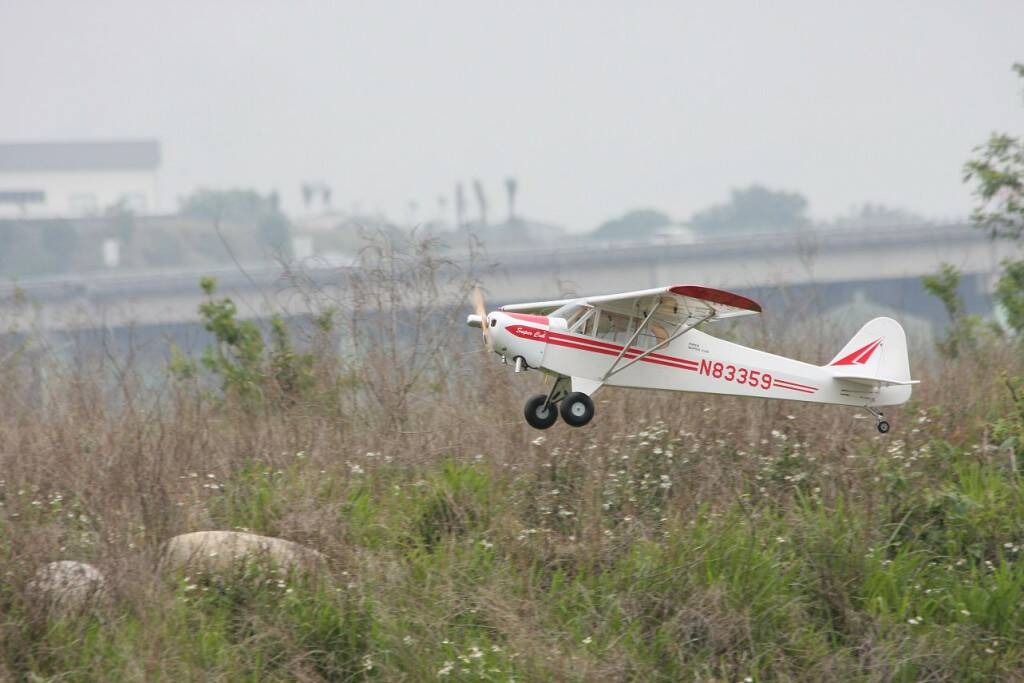 IMG_8787.jpg