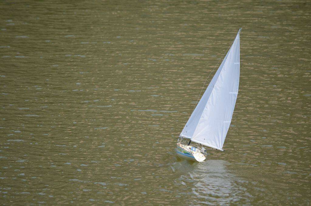 DSC_0510.jpg