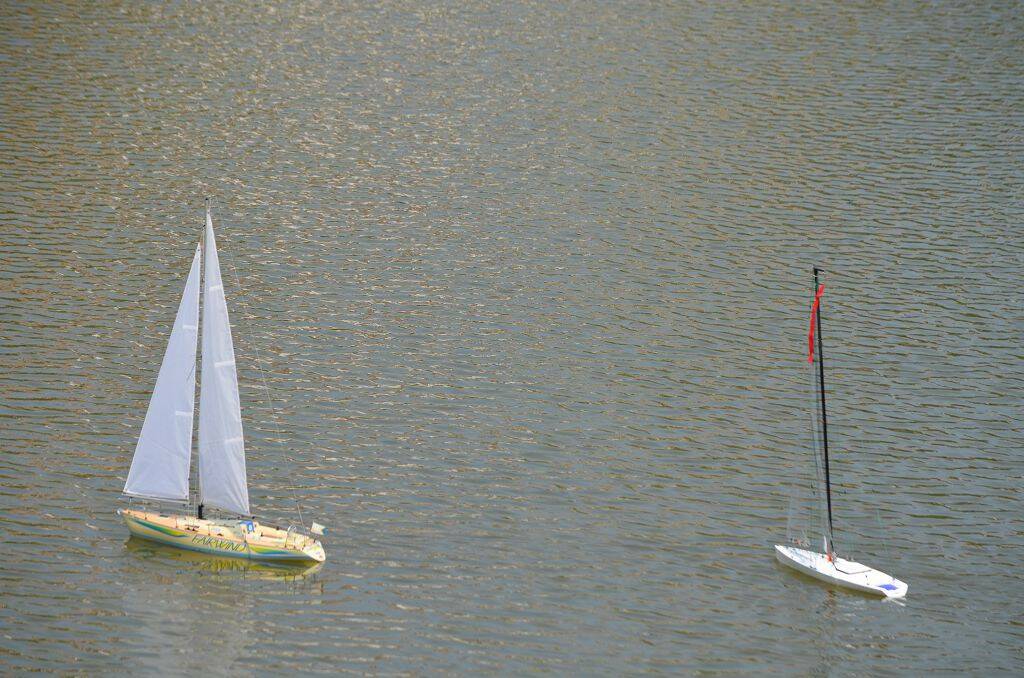 DSC_0528.jpg
