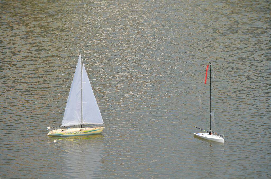 DSC_0529.jpg
